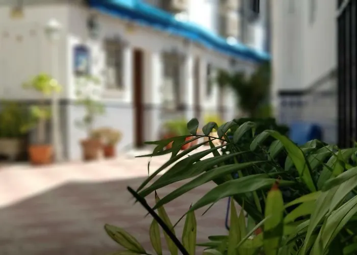 Гостевой дом La Luna *