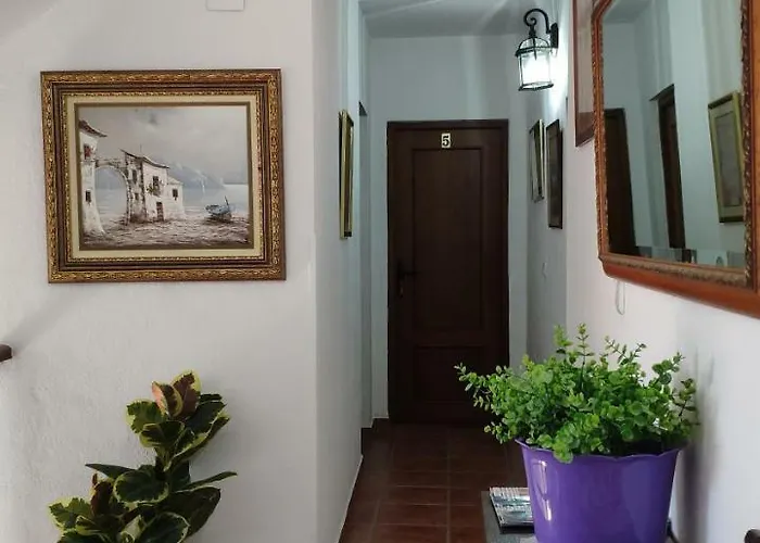 Гостевой дом La Luna *