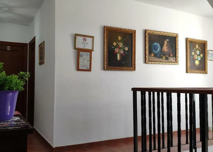 Гостевой дом La Luna *